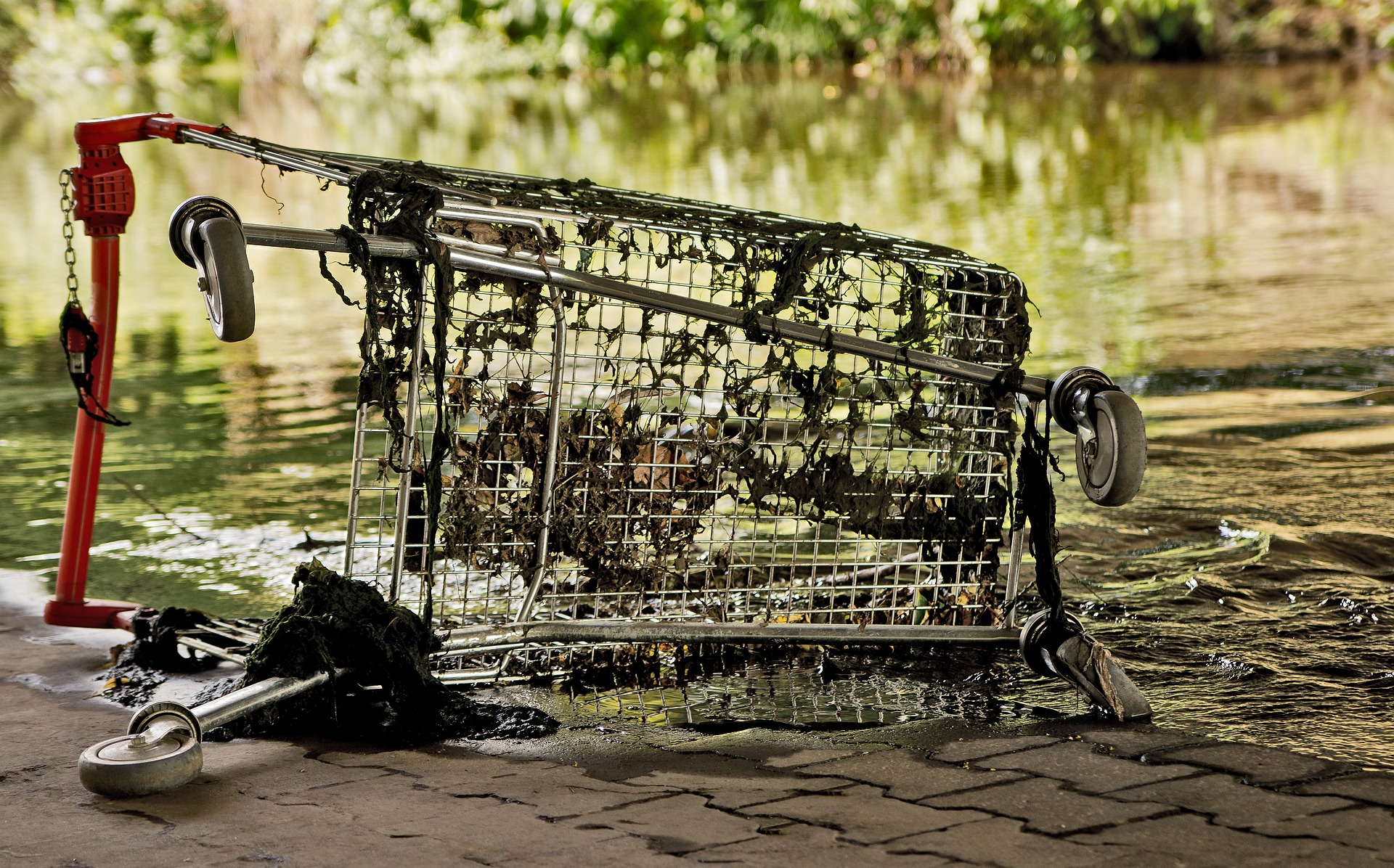 shopping cart in a river